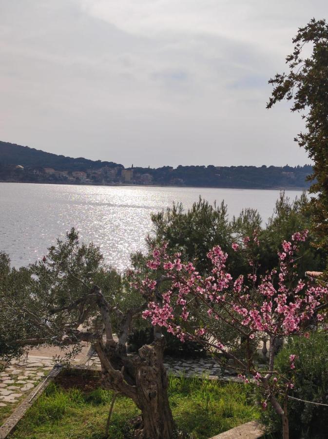 Holiday House Periska Rogoznica  Dış mekan fotoğraf